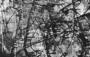 Thumbnail Placeholder